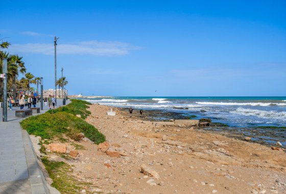 Wiederverkauf - Apartment - Torrevieja - Playa de El Cura