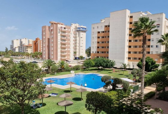 Resale - Apartment - Guardamar del Segura - Puerto