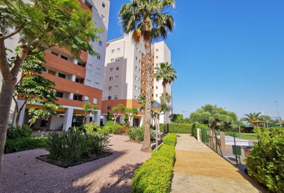 Reventa - Apartment - Guardamar del Segura - Puerto