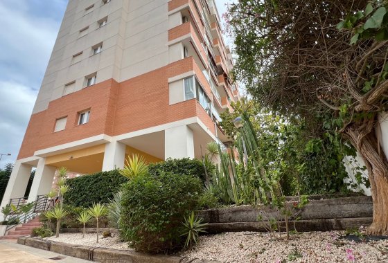 Wiederverkauf - Apartment - Guardamar del Segura - Puerto