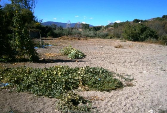Wiederverkauf - Country House - Cocentaina