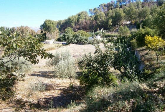 Wiederverkauf - Country House - Cocentaina