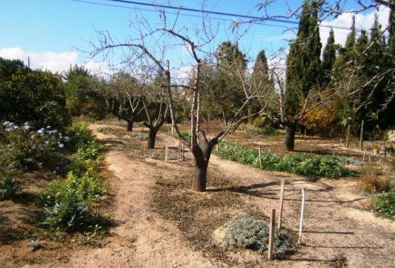 Wiederverkauf - Country House - Ontinyent