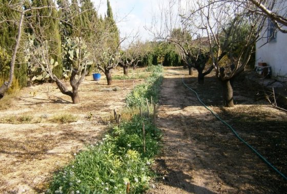 Wiederverkauf - Country House - Ontinyent