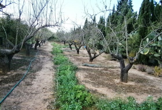 Wiederverkauf - Country House - Ontinyent