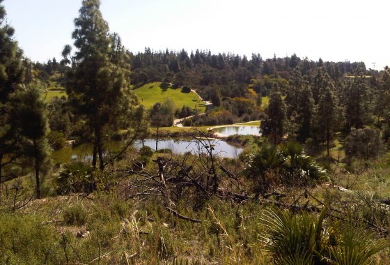 Wiederverkauf - Land - Mijas - El Chaparral