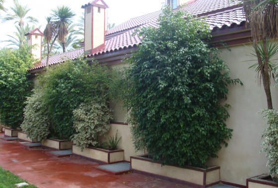 Reventa - Villa - Elche