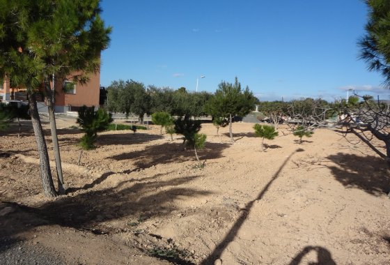 Wiederverkauf - Country House - El Altet