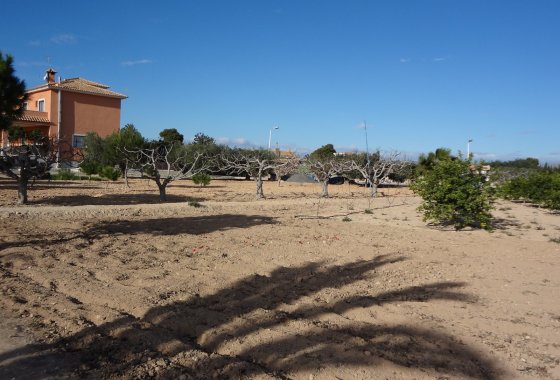 Wiederverkauf - Country House - El Altet