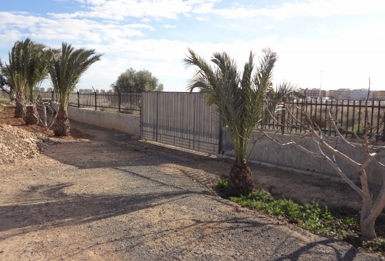 Wiederverkauf - Country House - El Altet