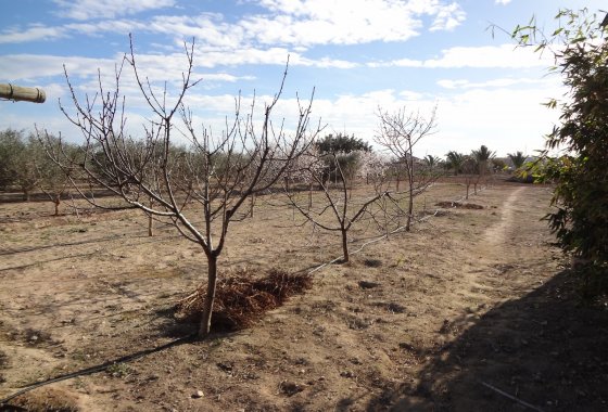 Wiederverkauf - Country House - El Altet